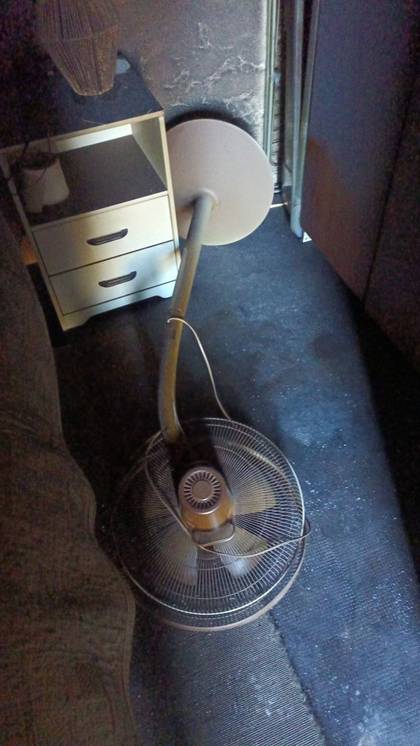 Foto: ventilador-cecotec-1.jpg