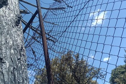 Foto: malla y poste afectados por calor